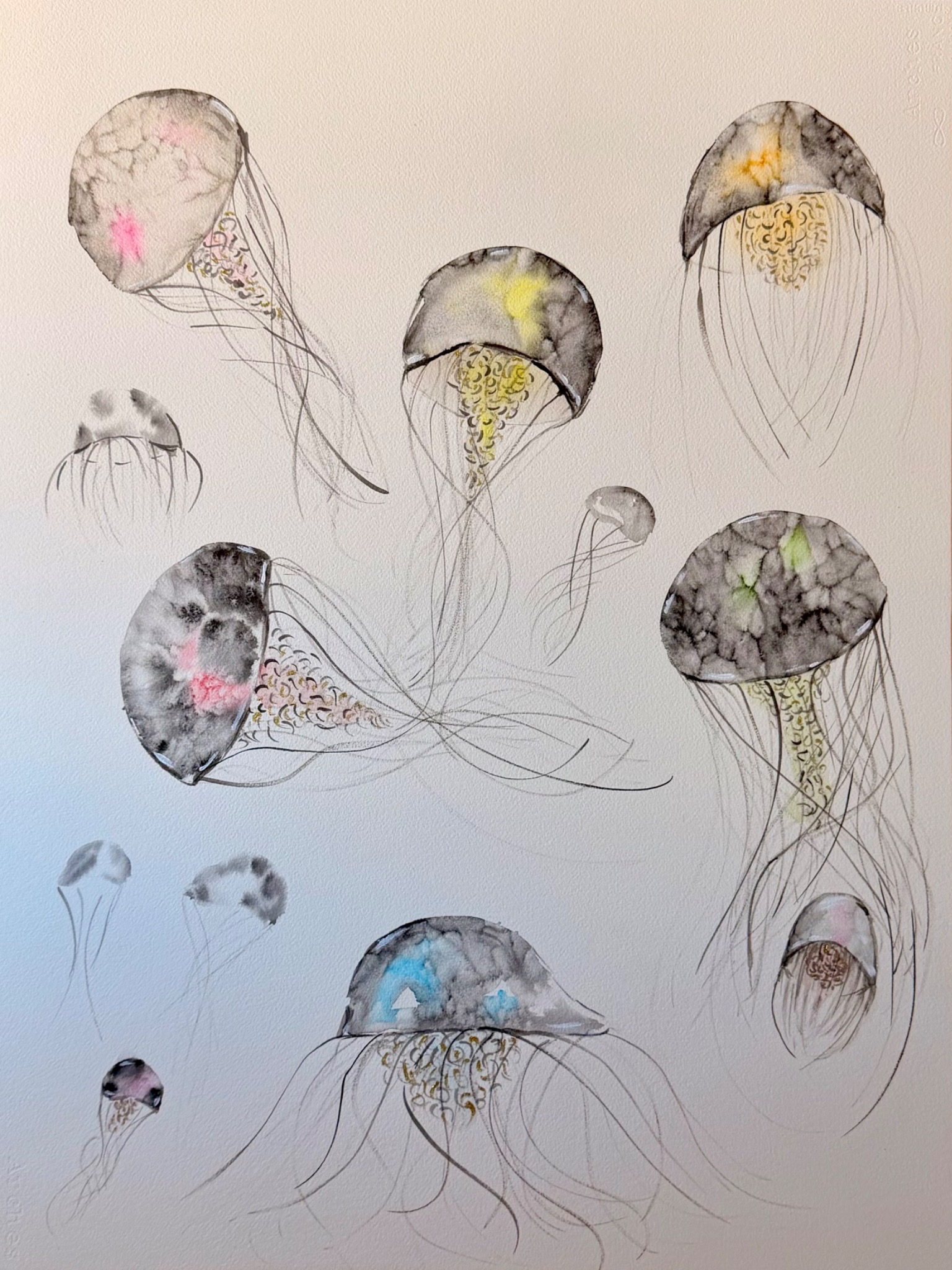 Medusas de Luz: acuarela de medusas con destellos de color